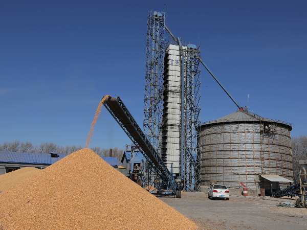 燒煤改燒秸稈大包直燃熱風(fēng)爐，烘干成本省一半