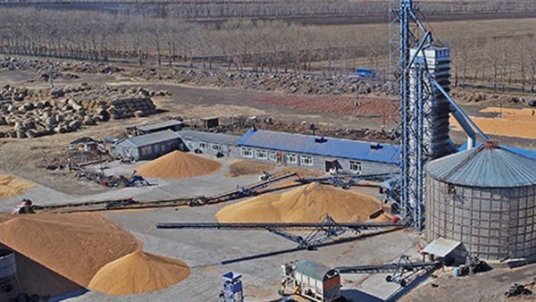 糧食烘干合作社如何做到年節(jié)省90萬元？利民萬佳鍋爐為您解析